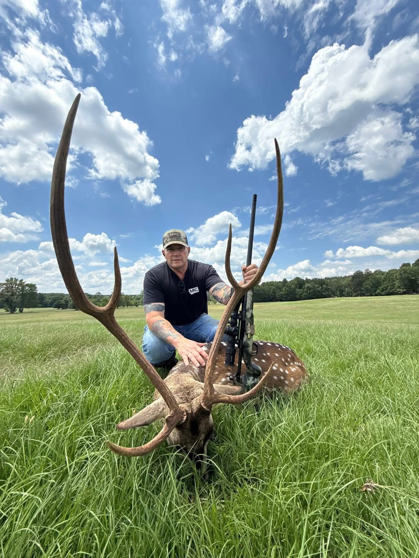 AXIS DEER