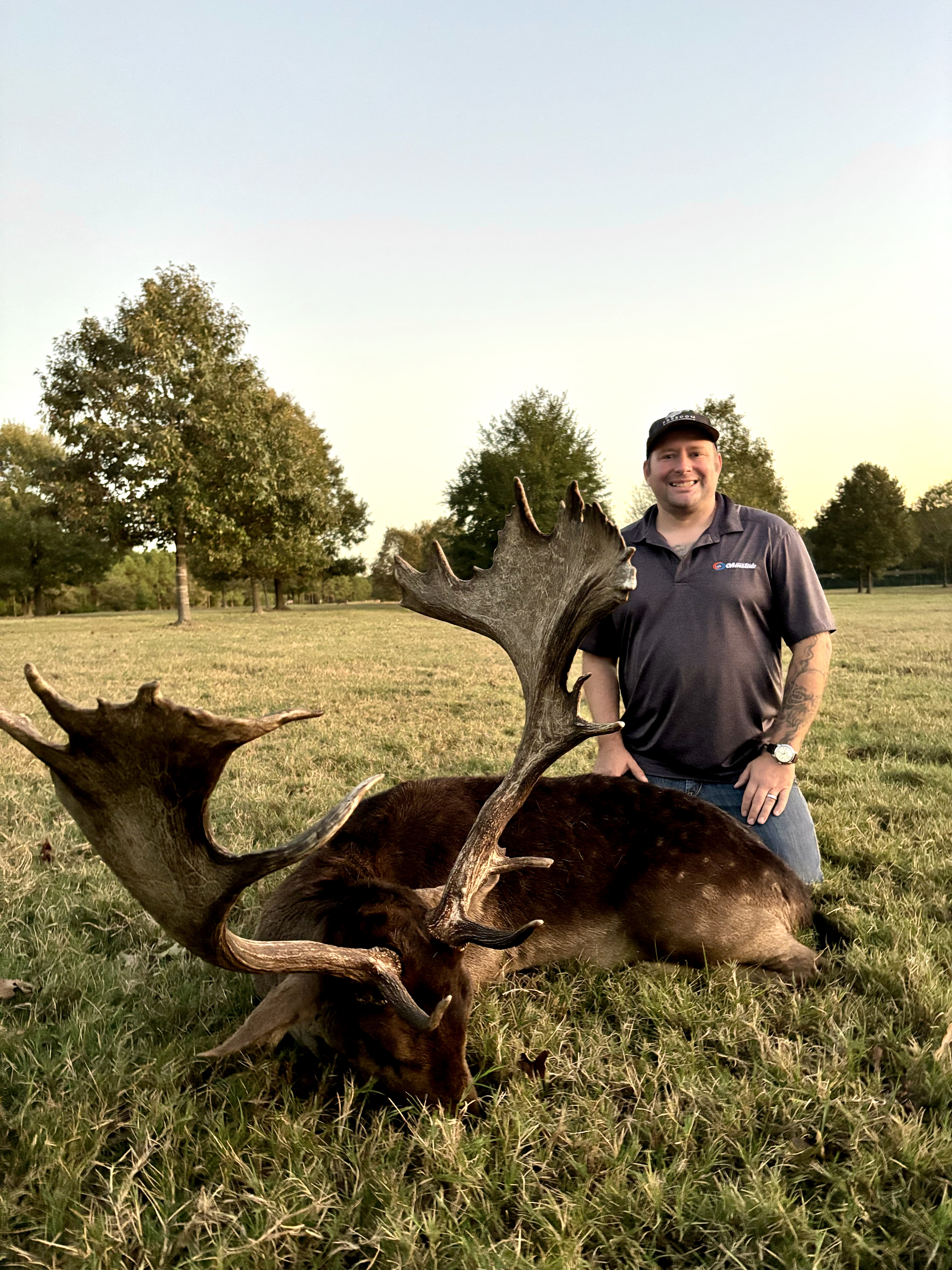 Fallow Deer in East Texas