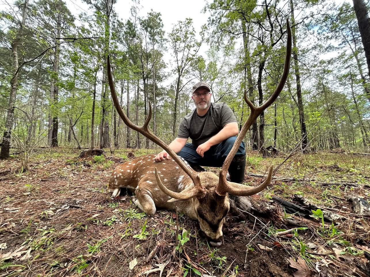 Axis Trophy #3 (JPG)