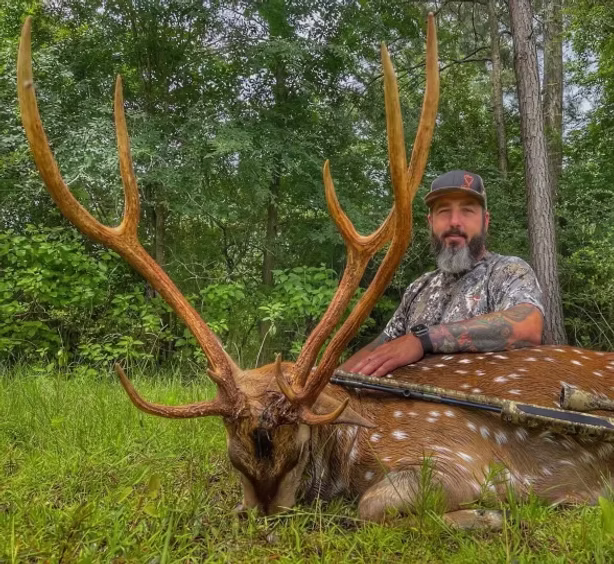 Axis Trophy #3 (AVIF)