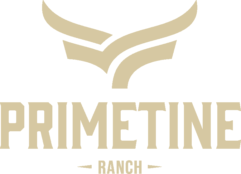 PrimeTine Ranch logo and East Texas trophy hunting brand mark